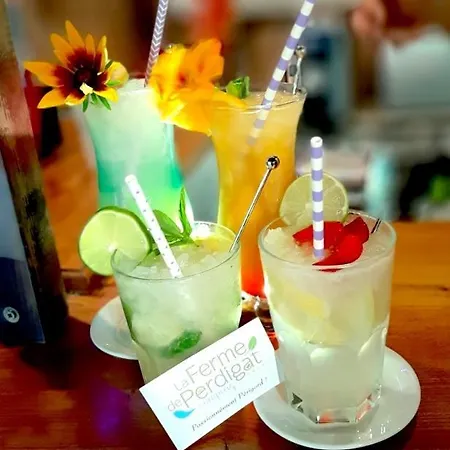 La Ferme De Perdigat