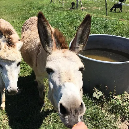 La Ferme De Perdigat Camping