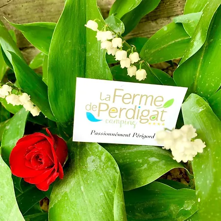 La Ferme De Perdigat 캠프장