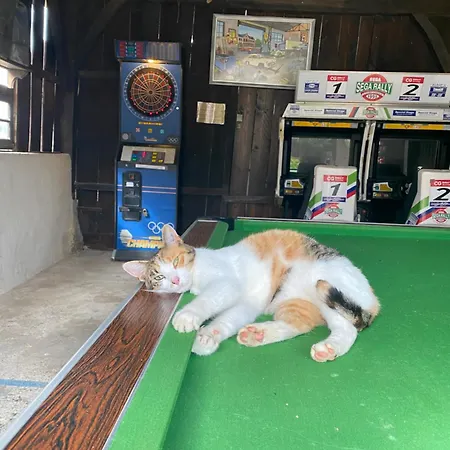 La Ferme De Perdigat