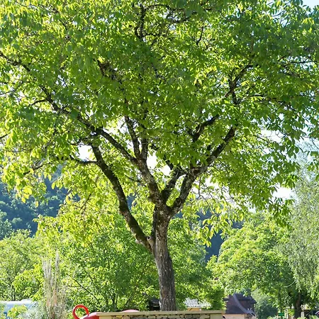 Camping La Ferme De Perdigat