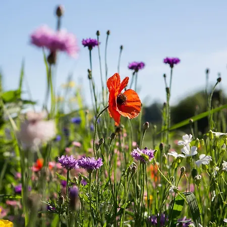 La Ferme De Perdigat 4*