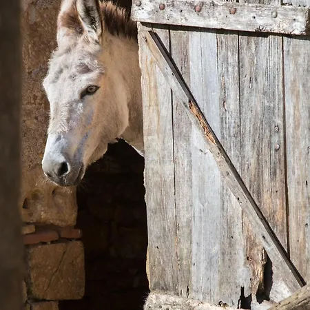 אתר קמפינג La Ferme De Perdigat