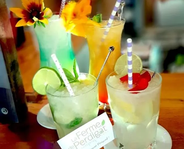 La Ferme De Perdigat