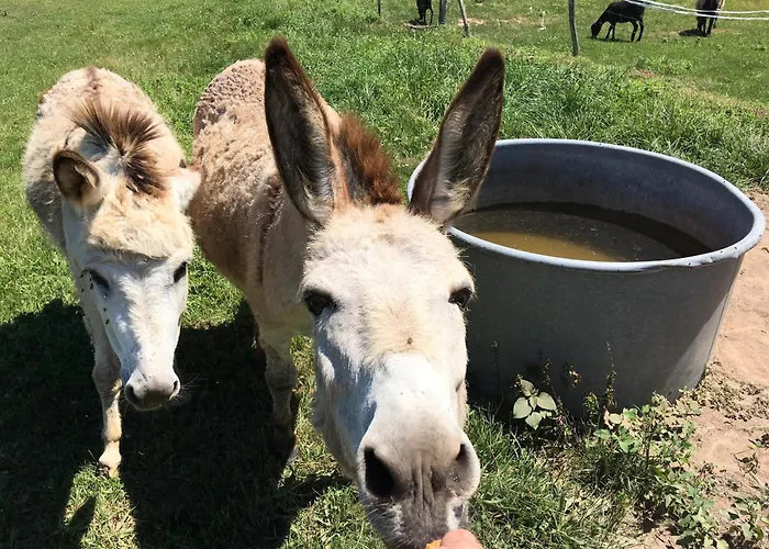 La Ferme De Perdigat مكان تخييم
