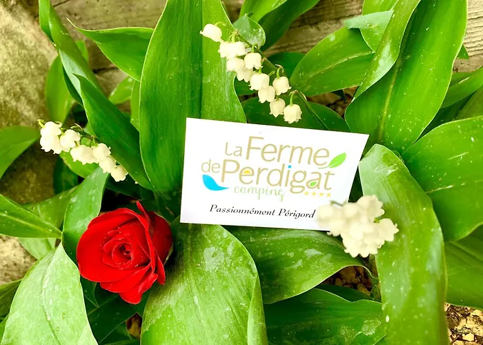 La Ferme De Perdigat مكان تخييم