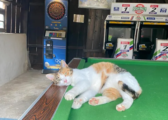 La Ferme De Perdigat