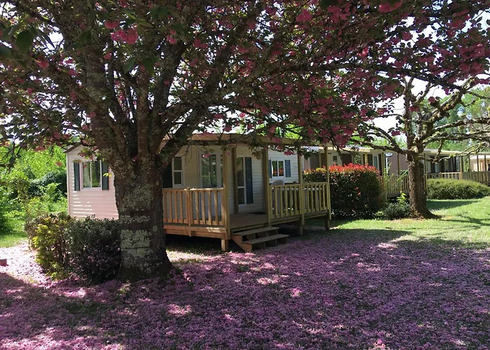 La Ferme De Perdigat 4* Limeuil