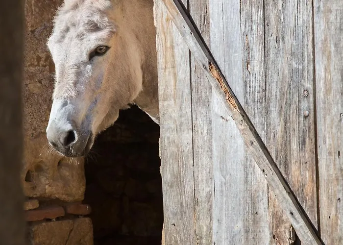 مكان تخييم La Ferme De Perdigat