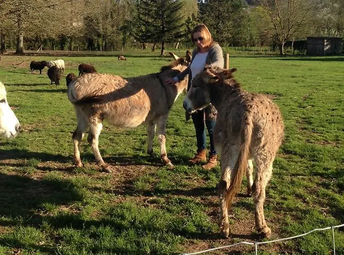 La Ferme De Perdigat مكان تخييم